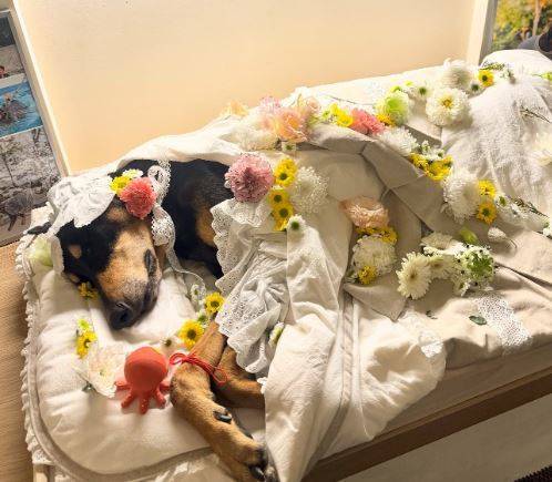 사진=배정남 소셜미디어