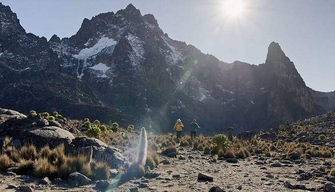 관객상 '스틸 얼라이브' [울산울주세계산악영화제 제공.재판매 및 DB 금지]