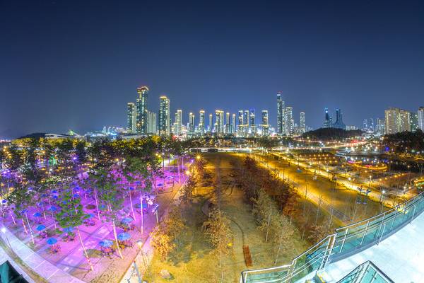 세종중앙공원 야경. /세종시 제공