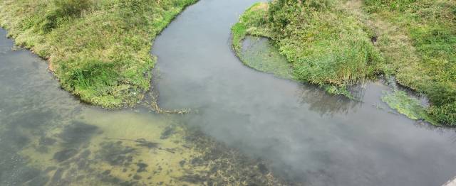 지난 9월 30일 오후, 경북 봉화군 봉화읍 내성천 하수종말처리장 인근. 평소 바닥이 훤히 보일 만큼 투명했던 물빛은 회색으로 탁해져 있었다. 독자제공