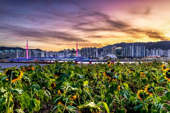 마산해양신도시.