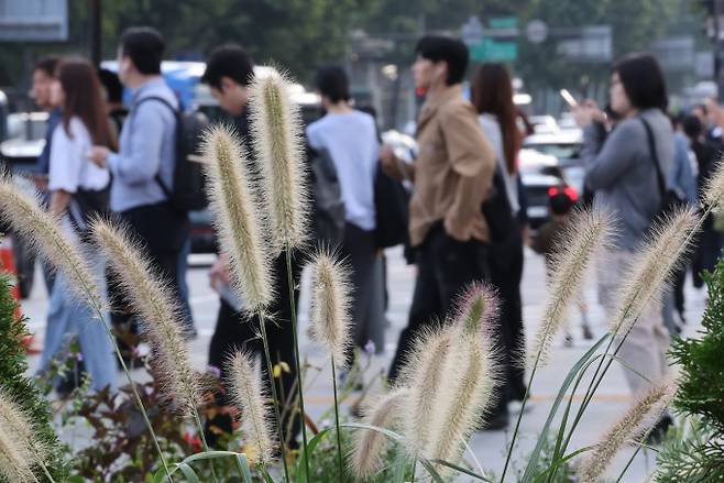일교차가 벌어지며 쌀쌀한 가을 날씨를 보인 9월 29일 서울 종로구 광화문광장 인근에서 긴소매 옷을 입은 시민들이 횡단보도 신호를 기다리고 있다. 연합뉴스 제공