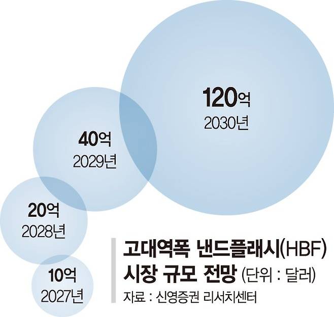 [단독] "넥스트 HBM 선점하라" 삼성, HBF 개