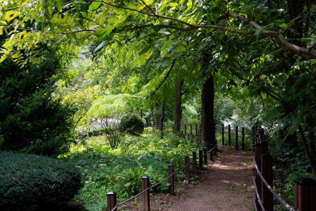 서울대학교 관악(안양)수목원 참나무길의 초입.