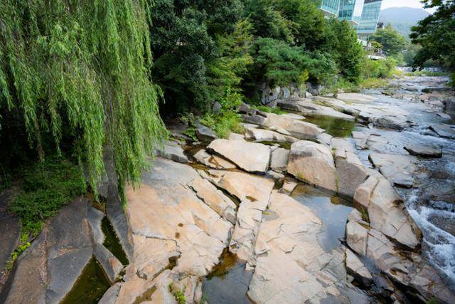 경기 안양시 서울대 관악수목원 정문 앞 안양예술공원의 삼성천.
