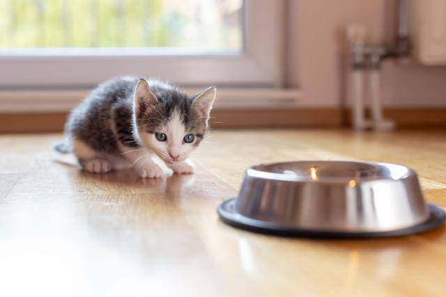 게티이미지뱅크