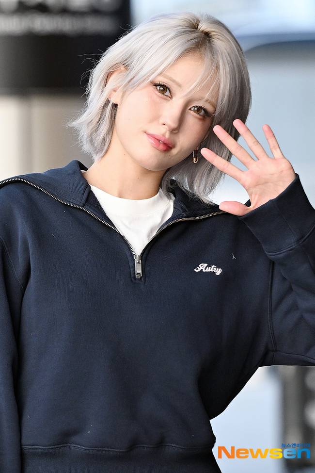 뉴스엔DB