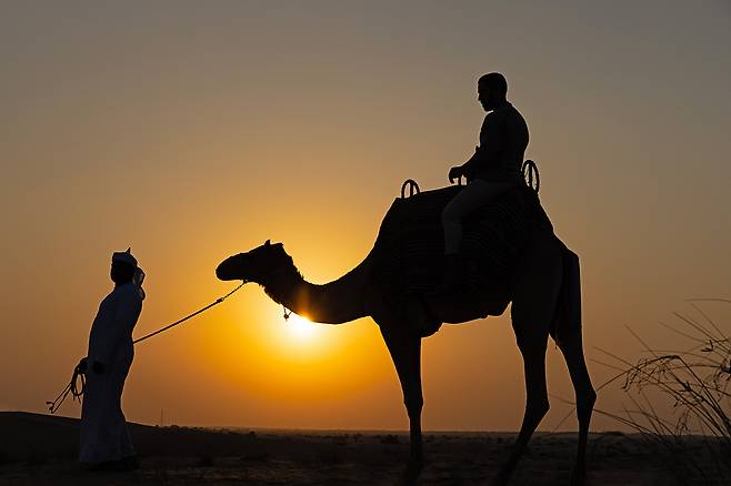 전통적인 방식으로 즐기는 아라비안 낙타 체험. 사진제공|VisitDubai