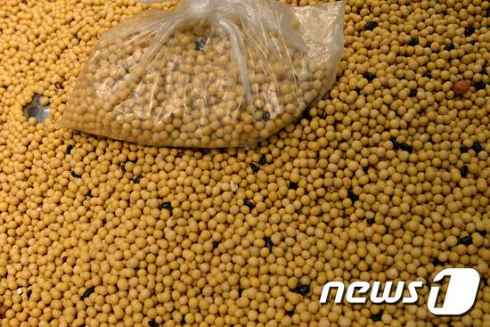 미국산 대두. ⓒ 로이터=뉴스1
