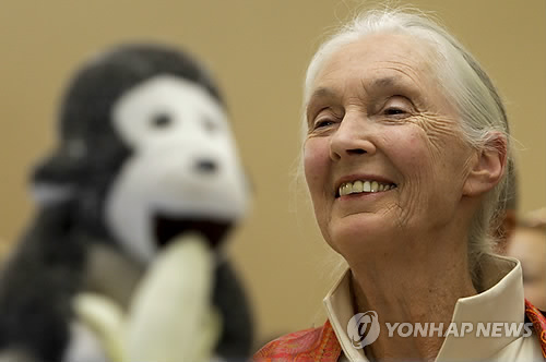 제인 구달 박사 [EPA=연합뉴스]