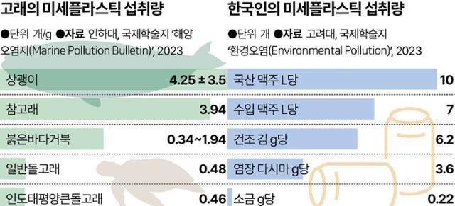 고래와 한국인의 미세플라스틱 섭취량. 그래픽=송정근 기자