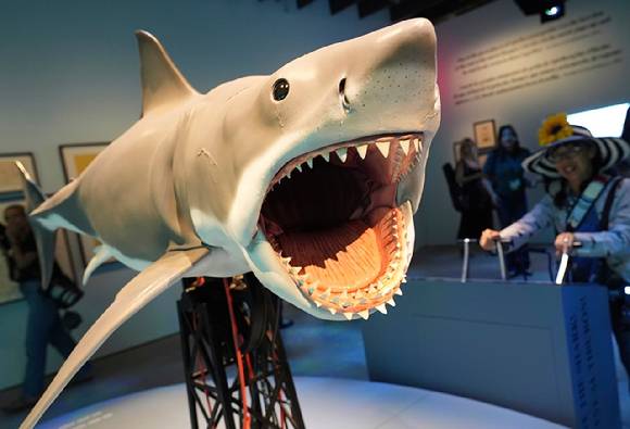 미국 LA의 아카데미 영화 박물관에 전시된 상어 영화 '죠스'의 모형 [사진=AP/연합뉴스]