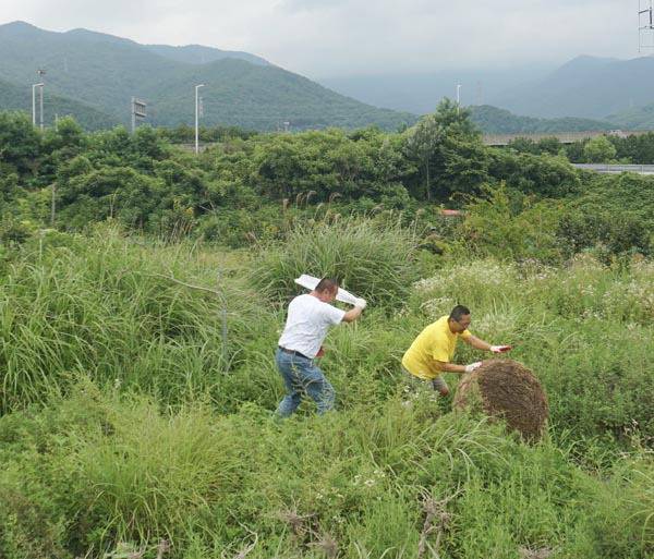 2025바다미술제의 전시 작품 ‘공굴리기’를 활용해 공을 굴리는 모습. 부산비엔날레조직위원회 제공