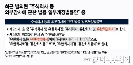 최근 발의된 '주식회사 등 외부감사에 관한 법률 일부개정법률안' 중 일부 내용./그래픽=윤선정 디자인 기자