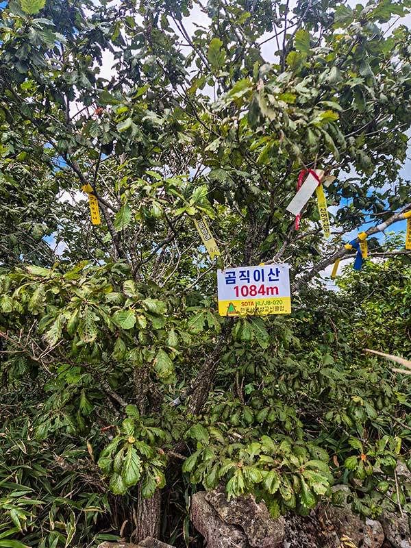 곰직이산.