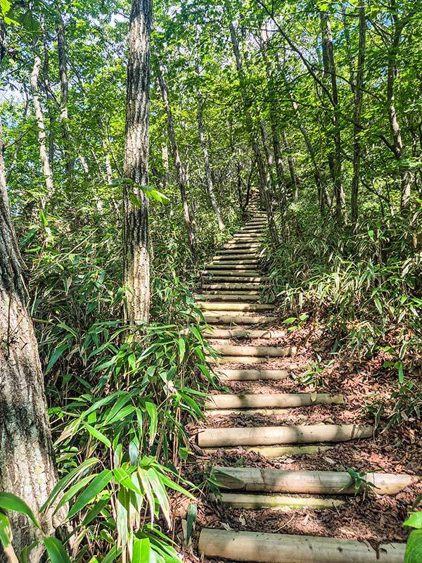 구봉산 천왕봉으로 가는 지옥의 계단. 끝이 잘 안 보인다.