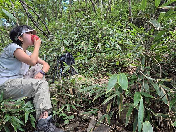 곰직이산을 오르는 길. 사과를 먹었더니 힘이 다시 솟아올랐다.