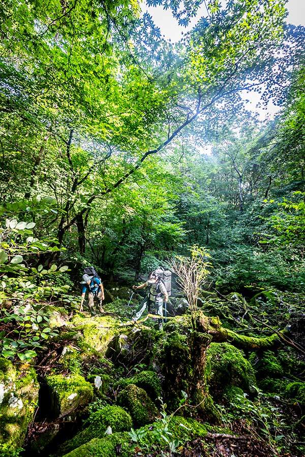 피암목재로 하산 중. 야속하게도 날씨가 좋다.