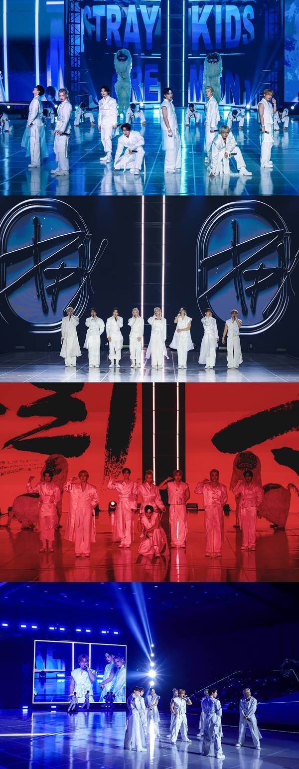 티브이데일리 포토