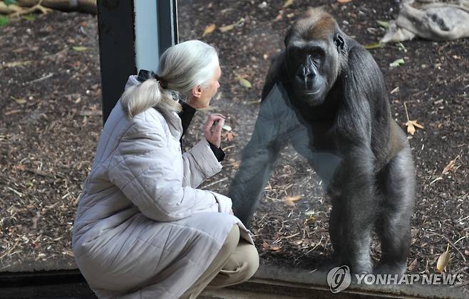 제인 구달 박사 [EPA 연합뉴스 자료사진]