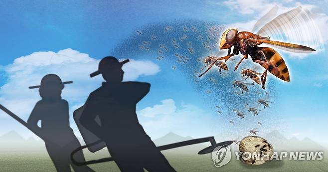 벌초.제초 작업 중 벌 피해(PG)