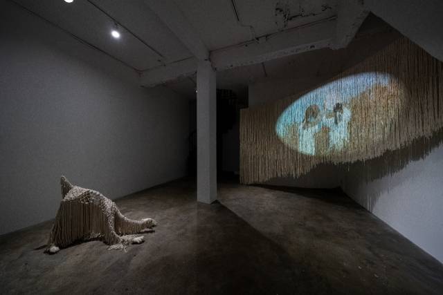 박현진 개인전 ‘사자도, 개도, 사람도 아닌 것’ 설치 전경. 오픈스페이스 배 제공