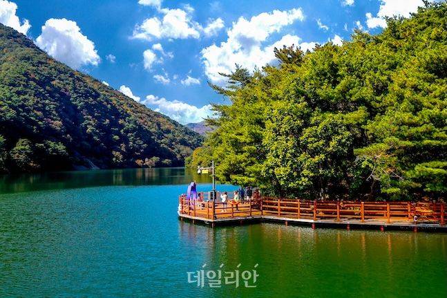 충북 제천 의림지 한방치유숲길. ⓒ산림청