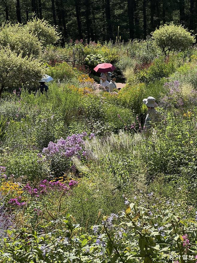 홋카이도 가든 가도는 홋카이도의 8개 정원을 잇는다. 그 중 한 곳인 바람의 정원(카제노가든). 김선미 기자 kimsunmi@donga.com