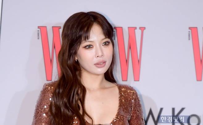 가수 현아/사진=한경DB