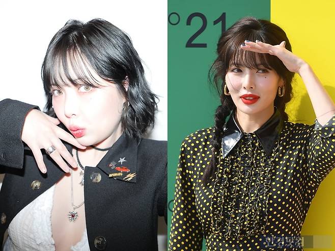 체형이 달라졌다는 평을 받는 현재의 현아(좌)와 과거 건강이 우려됐던 현아의 모습./사진=현아 인스타그램, 한경 DB