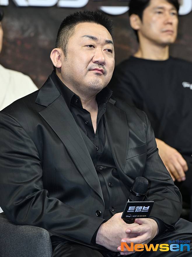 마동석(뉴스엔DB)