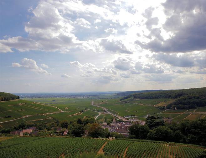 뉘 생 조르주 포도밭 전경. 홈페이지