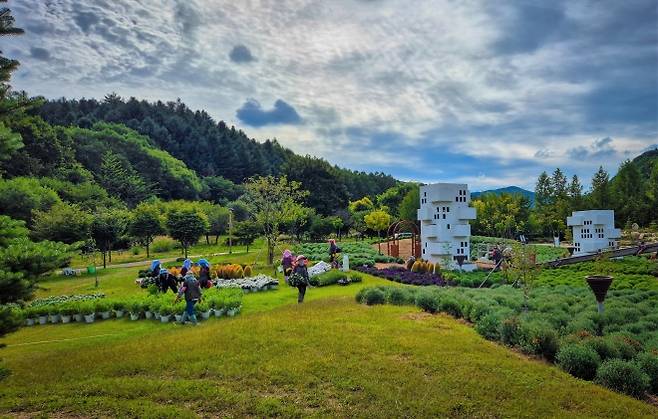 오는 12일까지 봉자페스티벌이 열리는 국립백두대간수목원. 한국수목원정원관리원 제공