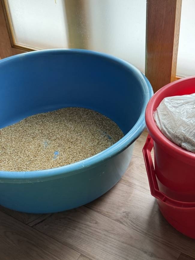 할머니가 준비한 깨. /김윤지