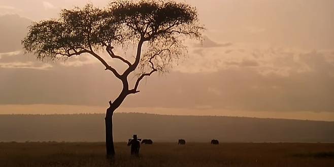 영화 ‘아웃 오브 아프리카’(1986). 배급사 제공