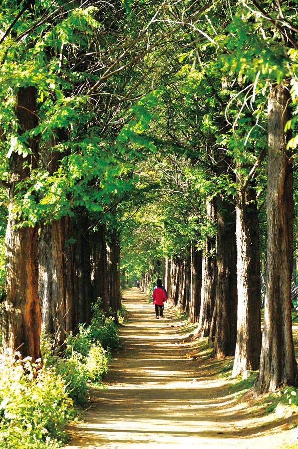 ▲사진 출처=《언제나 걷기 좋은 서울 둘레길》