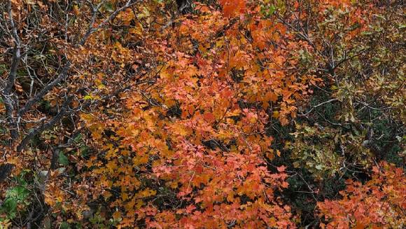 설악산 물든 단풍. [사진=기상청]