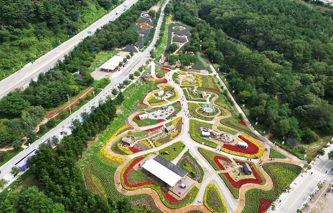 강원 인제군 용대 관광지 일원에 조성된 대규모 꽃밭 전경. 이곳에서는 매년 가을 꽃축제가 열린다. 인제군 제공