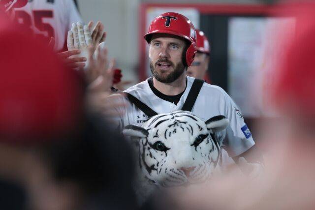 위즈덤/KIA 타이거즈