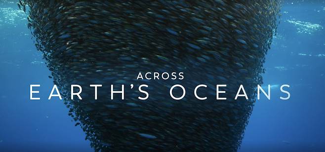 [넷플릭스 홈페이지 갈무리]