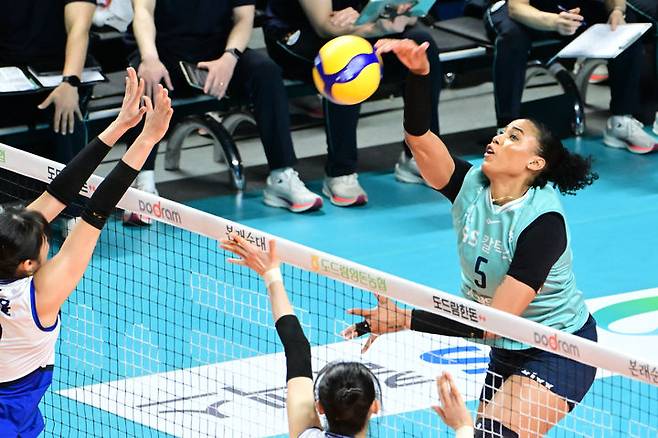 [서울=뉴시스] 프로배구 GS칼텍스 실바(오른쪽)가 18일 서울 장충체육관에서 열린 도드람 2024~2025 V-리그 여자부 경기에서 현대건설을 상대로 공격을 시도하고 있다. (사진=KOVO 제공) 2025.02.18. *재판매 및 DB 금지