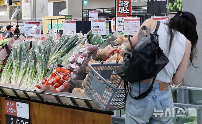 [서울=뉴시스] 김혜진 기자 = 사진은 지난달 8일 서울 시내 한 대형마트에서 시민이 장을 보고 있는 모습. 2025.09.08. jini@newsis.com