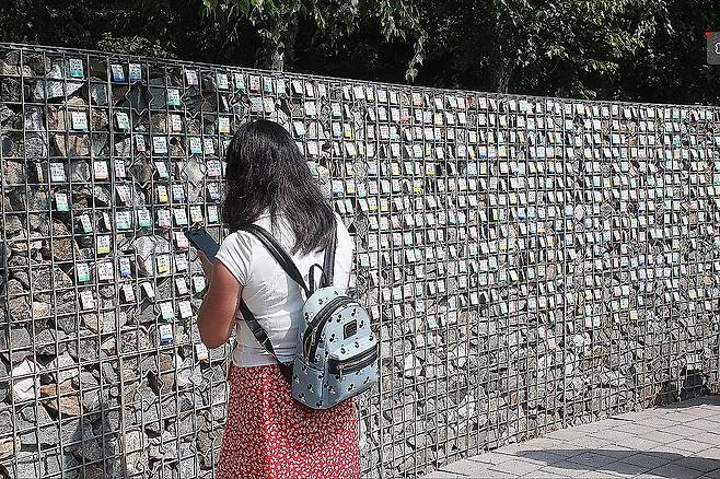 입양인 700명 이름표가 걸려있는 '기억의 벽' 2025년 6월 경기 파주 엄마품동산 내 가장자리에 있는 기억의 벽에서 한 입양인이 입양인들의 이름표를 들여다보고 있다. 해외입양인들을 위한 '기억과 치유의 공간'인 엄마품동산은 8년여의 준비 끝에 6월 공식 개장했다. 
[연합뉴스 사진]