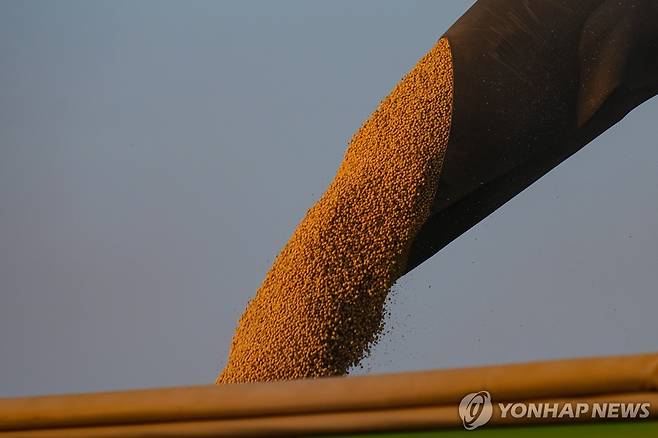 미국 대두 수확 [AP 연합뉴스 자료사진. 재판매 및 DB 금지]
