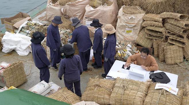 국립해양유산연구소가 쌀과 콩을 실은 조운선의 침몰을 재현하기 위해 볏집으로 만든 쌀가마와 청자다발을 만든 모습.  &nbsp;(사진=국립해양유산연구소 제공)
