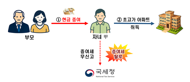국세청 증여세 탈루 관련 세무조사 선정 사례/자료=국세청 제공