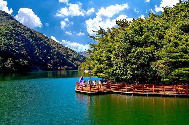충북 제천 의림지 한방 치유의숲길. 산림청 제공