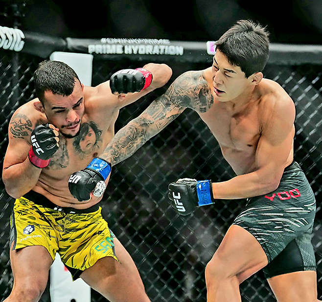 다니에우 구스타부 곤자가 산투스가 2025년 10월 미국 네바다주 패러다이스의 티모바일 아레나 UFC320 계약 체중 69.4㎏ Preliminary card 제3경기로 ‘좀비 주니어’ 유주상을 상대하고 있다. 사진=TKO