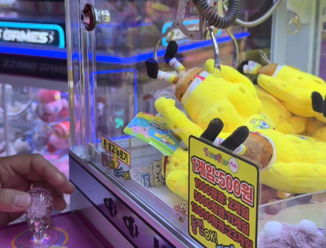 해당 사진은 기사와 무관함. 사진=독자제공