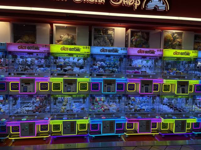 해당 사진은 기사와 무관함. 사진=독자제공